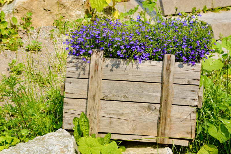 A rectangular wooden planter box made of weathered, light-colored wood with visible grain and knots,...
<br/>
<a class=